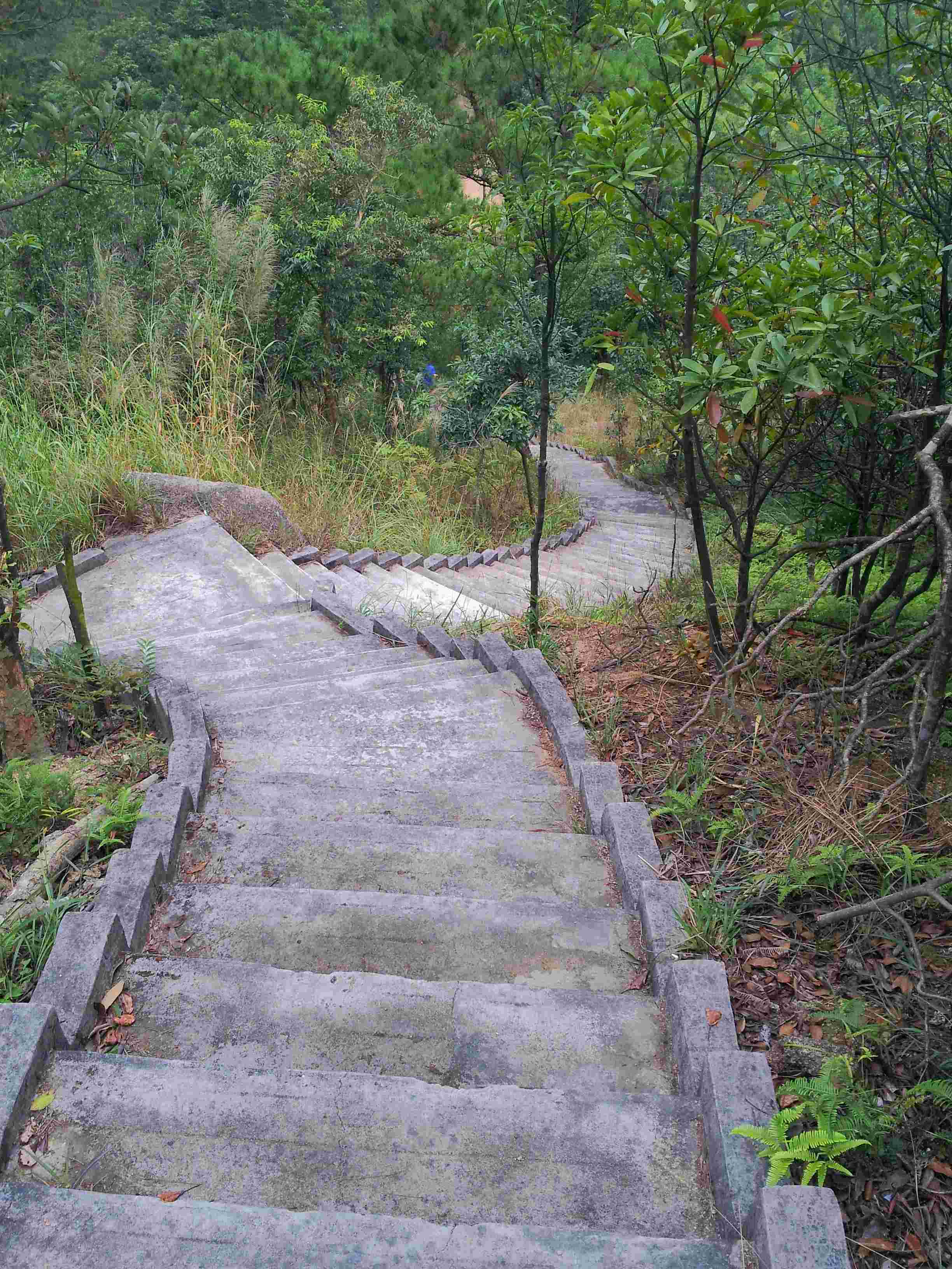 20121028_162302.jpg