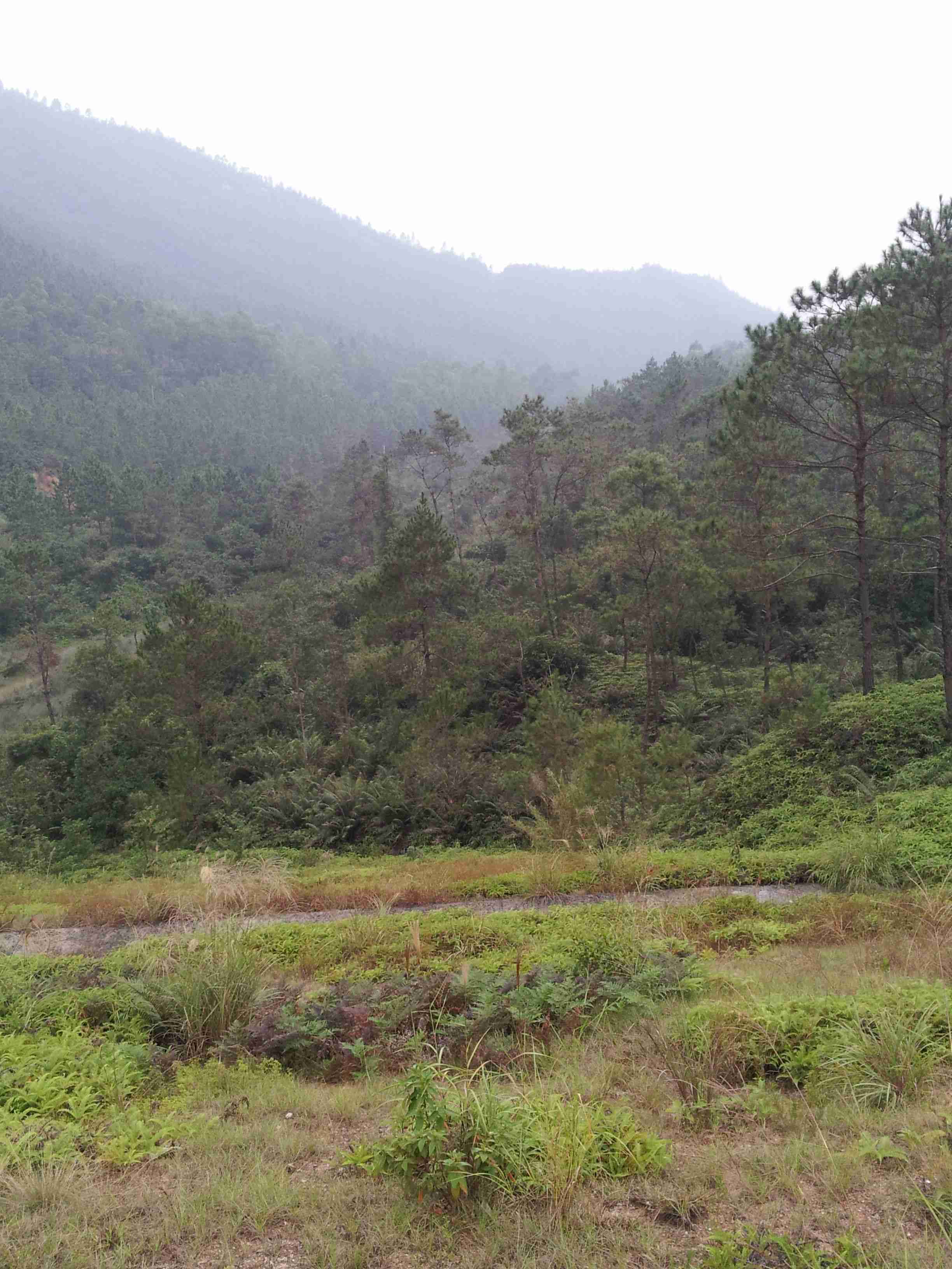 20121027_162015.jpg