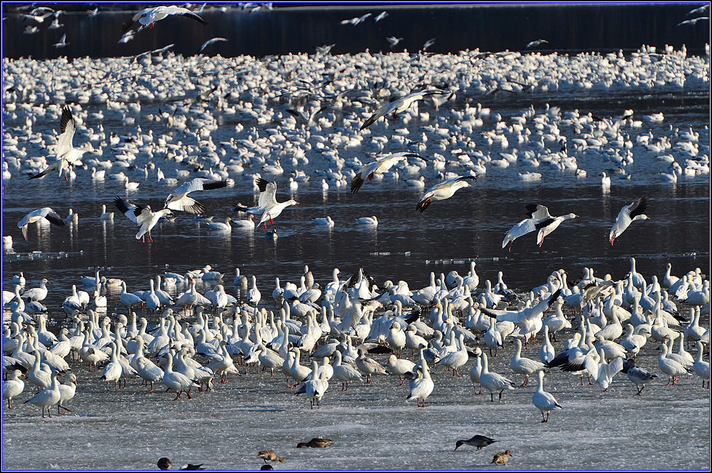DSC_3781.jpg