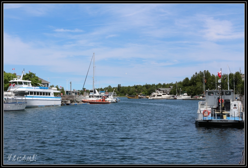 20130701 049_conew1.jpg