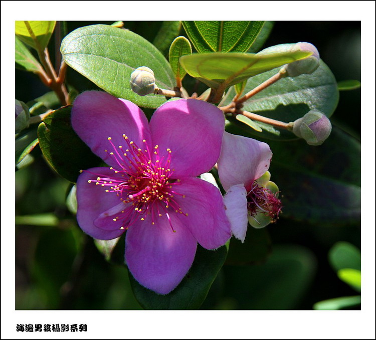 IMG_8901_conew1.jpg