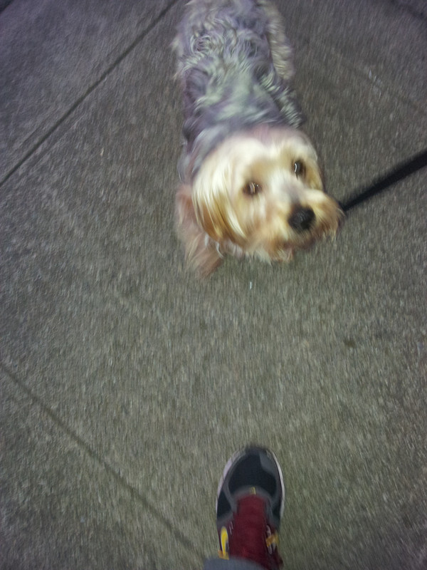 20130530_203320_.jpg