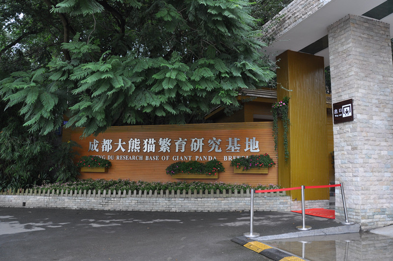 chengdu&nbsp;&nbsp;jizhaigou-china tour 1141_.jpg
