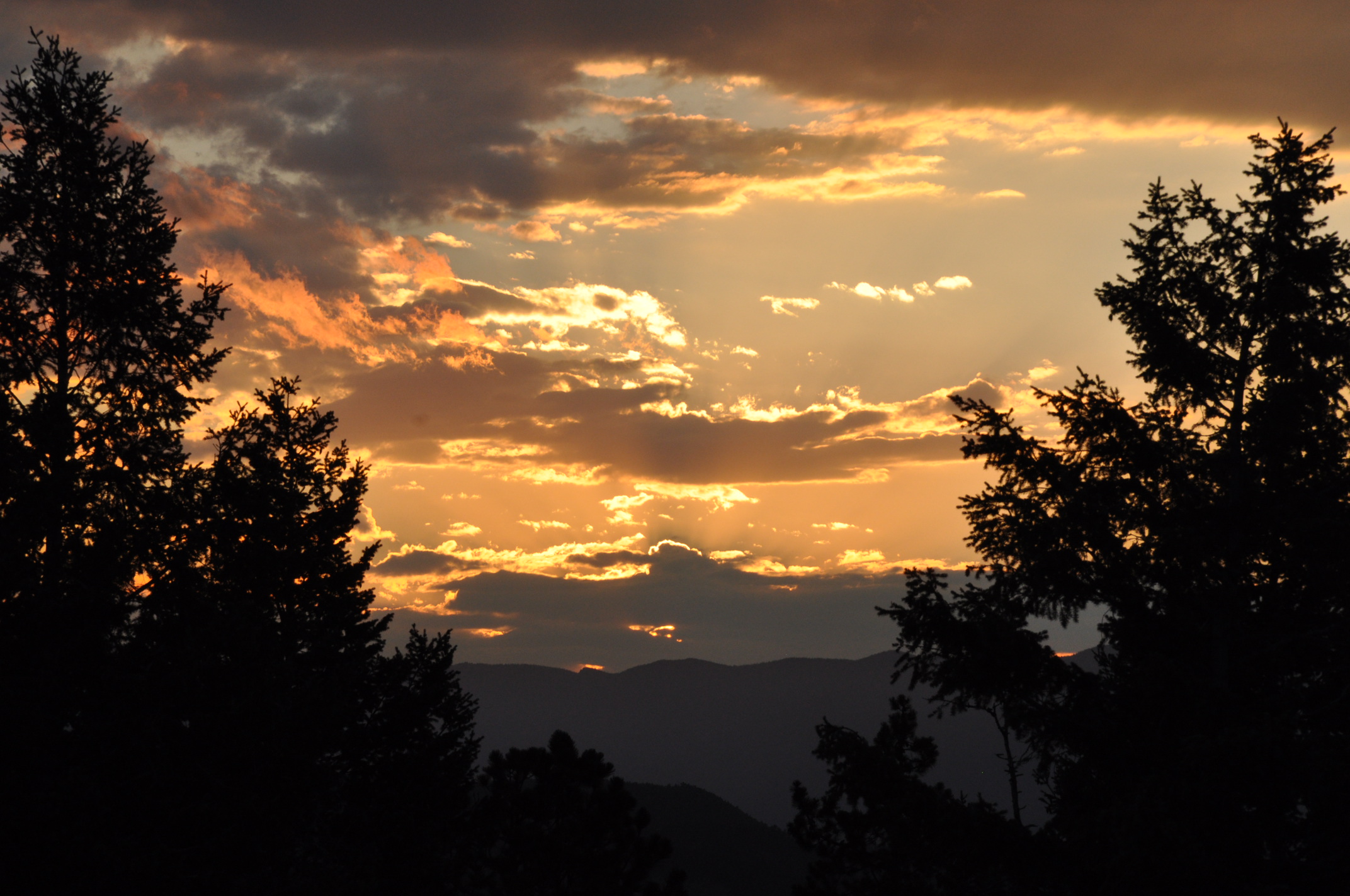 DSC_1515.JPG