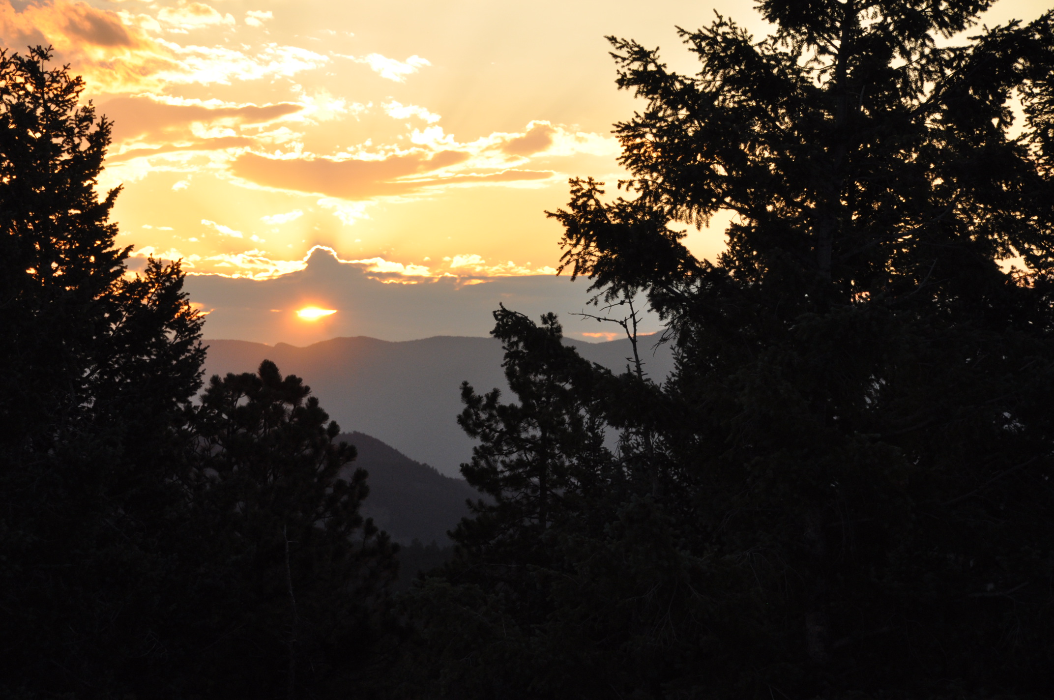 DSC_1506.JPG
