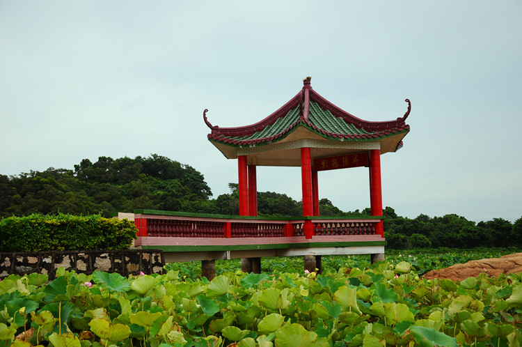 DSC_1046_17.jpg