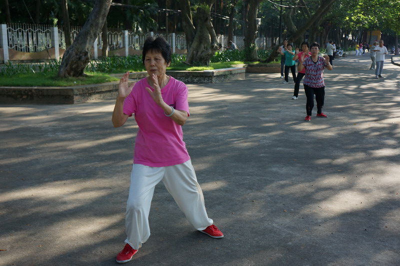DSC02795.jpg