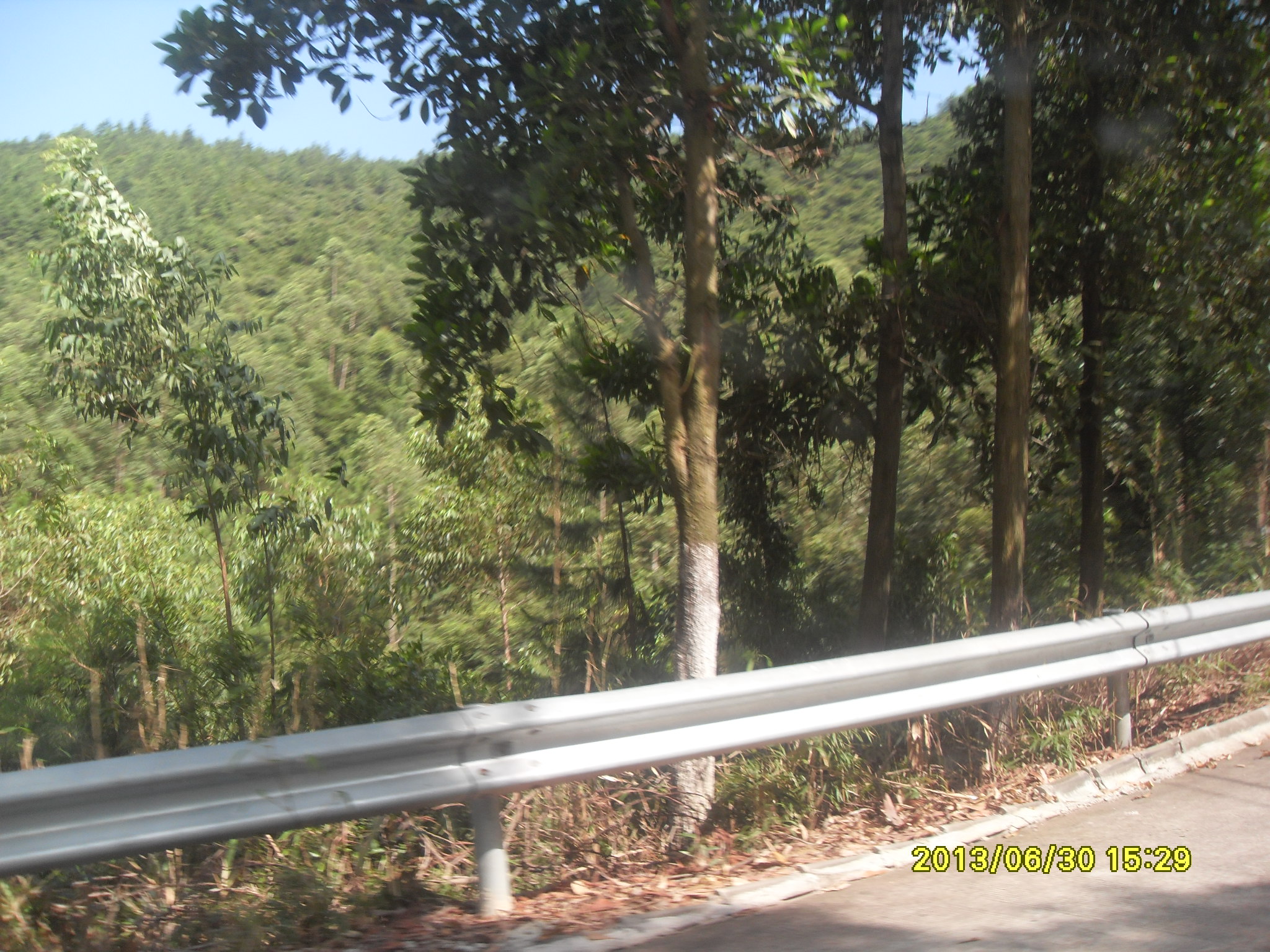 SDC12649.JPG