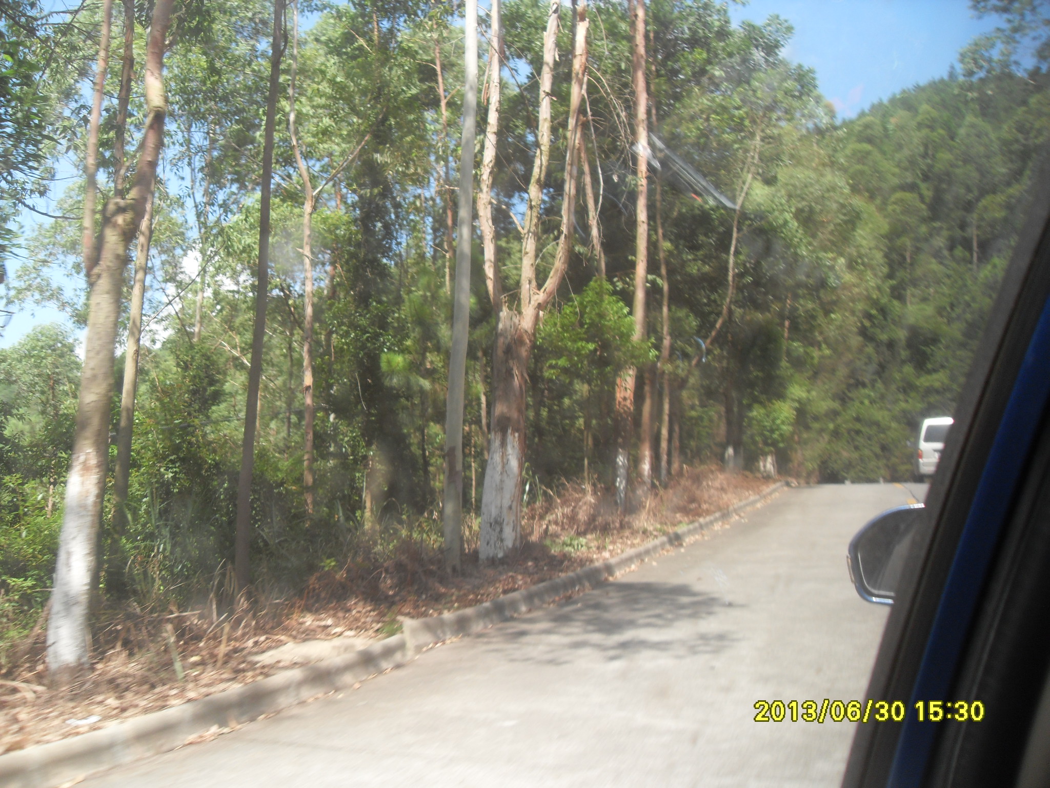 SDC12650.JPG