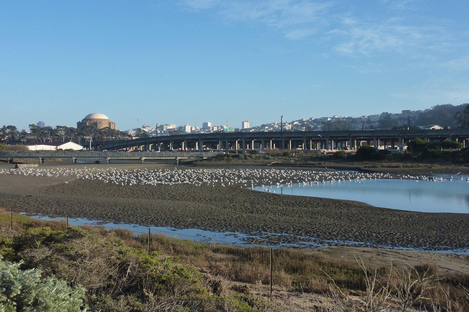 P1040415.JPG