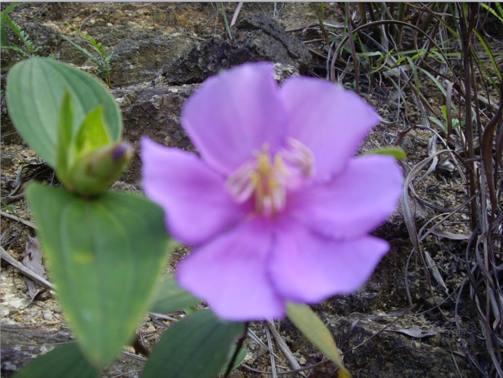 QQͼƬ20130708211951.jpg