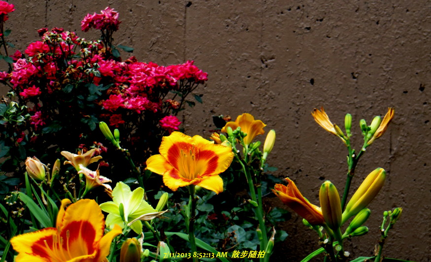 IMG_0001_4082.jpg