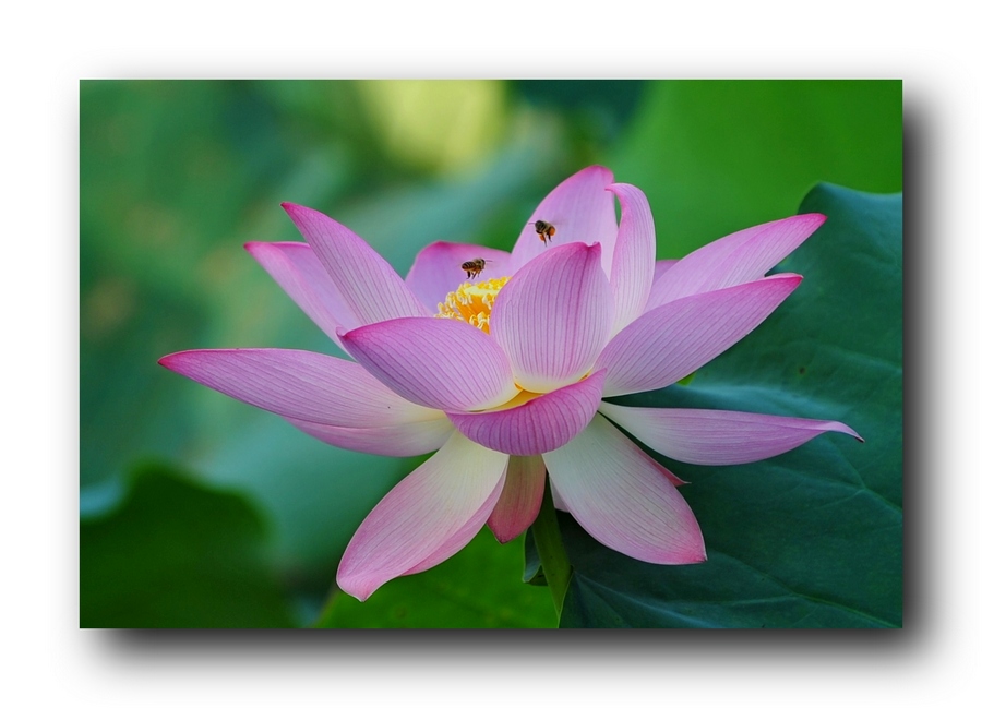 ��Ƭ 05423.jpg