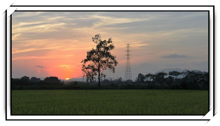DSC_6523.jpg