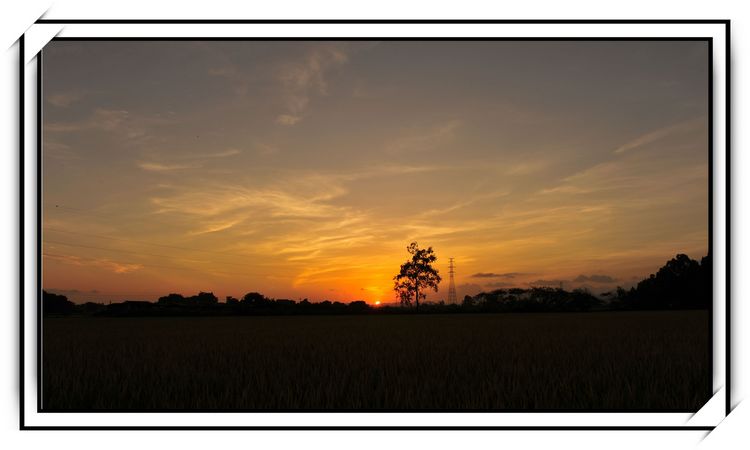 DSC_6532.jpg