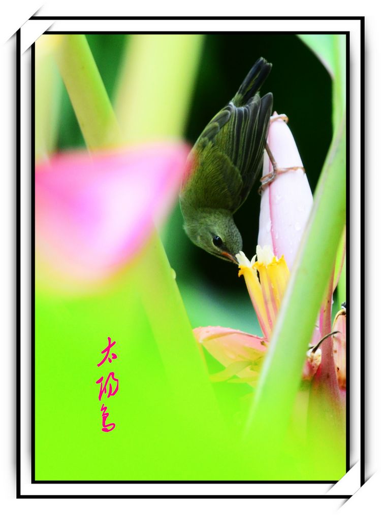 DSC_9377_conew1.jpg