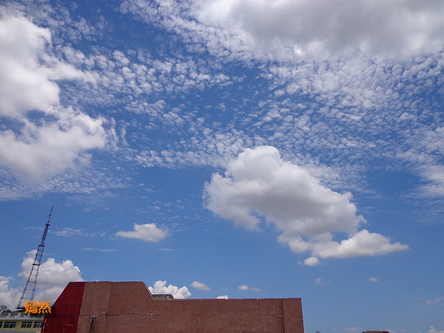 DSC02783.JPG