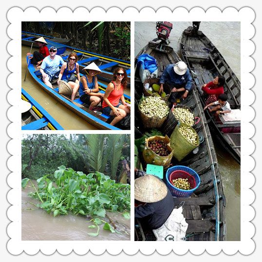 2_1145_5e4c8a12d899b71 (1).jpg