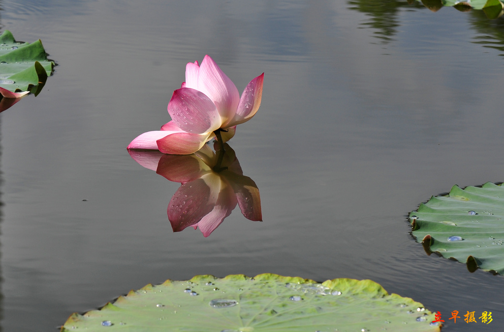 DSC_0712.JPG