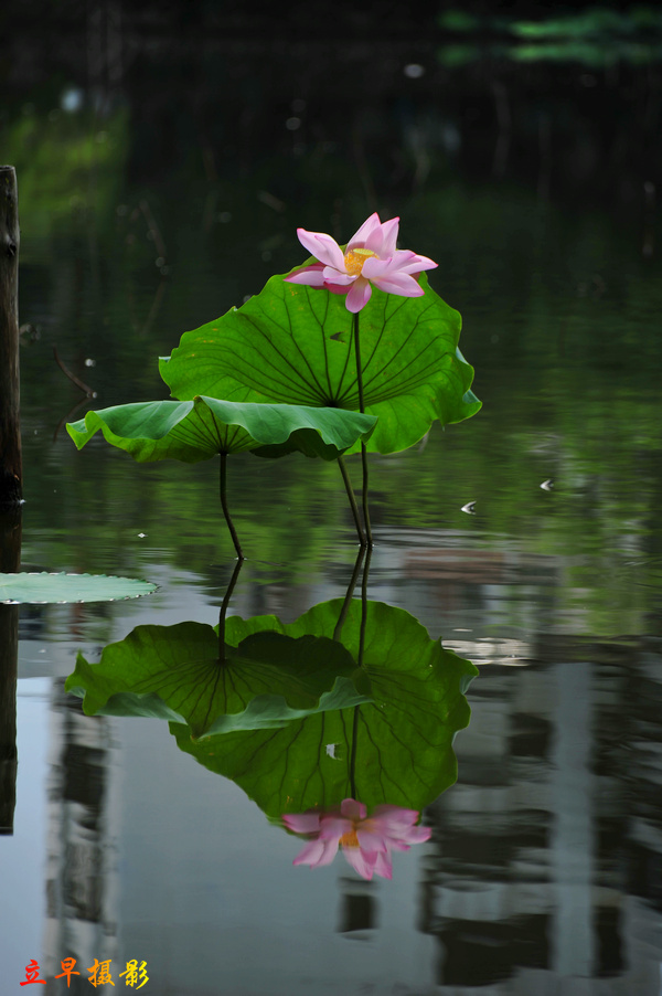 DSC_8819.JPG