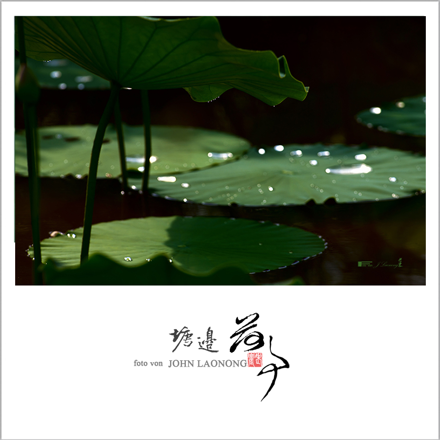 fDSD_7242.jpg