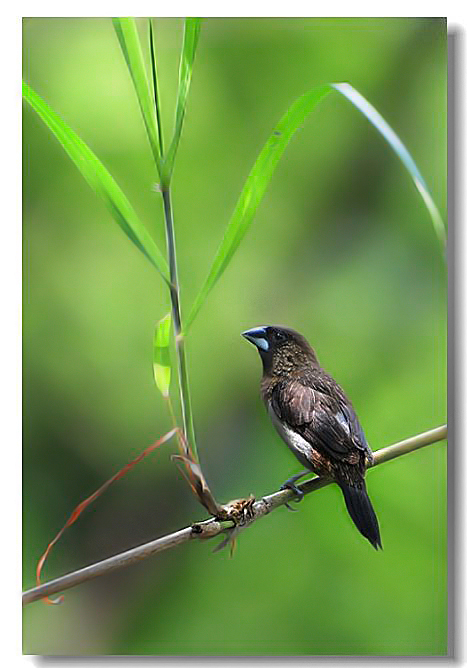 һ������ȸ3 332.jpg