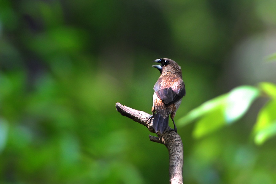 DSC_7626.JPG