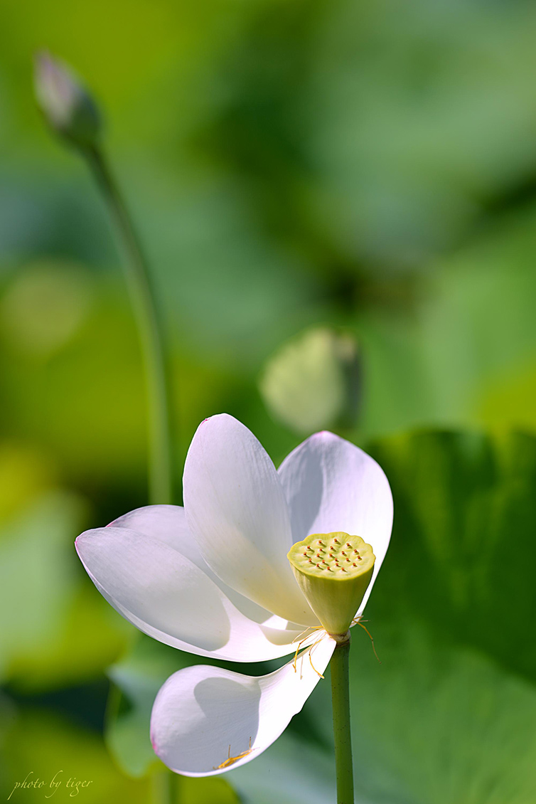 untitled.5717a copy.jpg