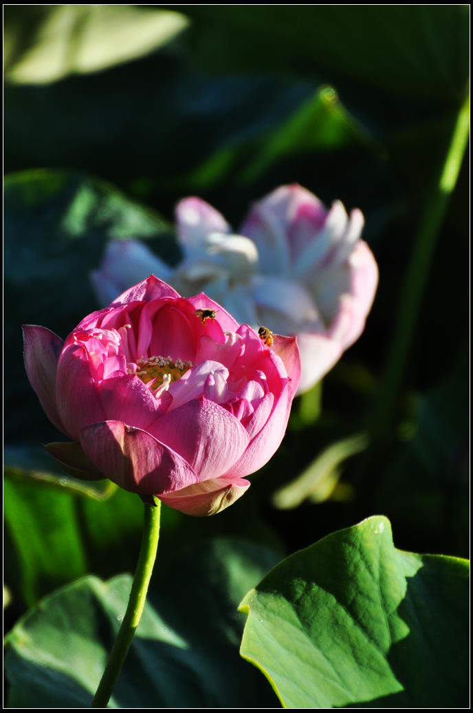 DSC_3644.jpg
