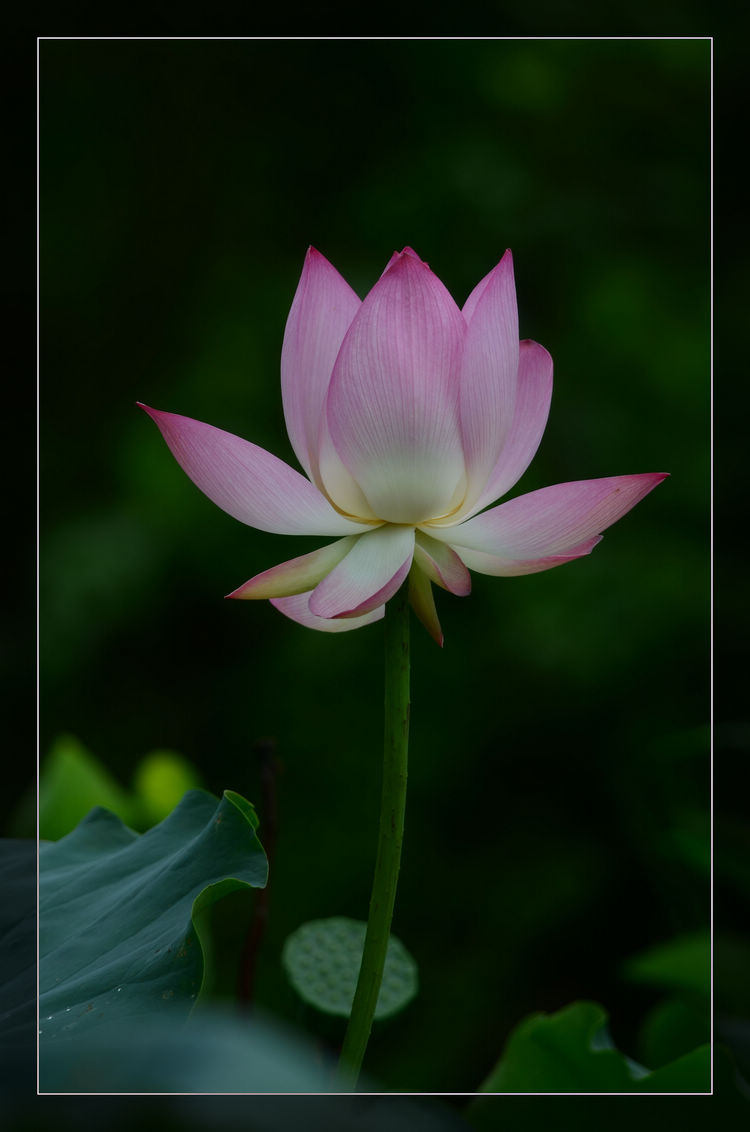 DSC_0876.jpg