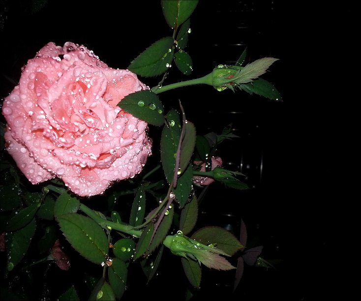 20130712_213250_conew1.jpg