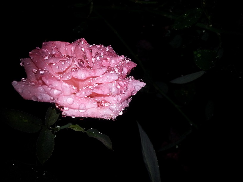 20130712_213054_conew1.jpg