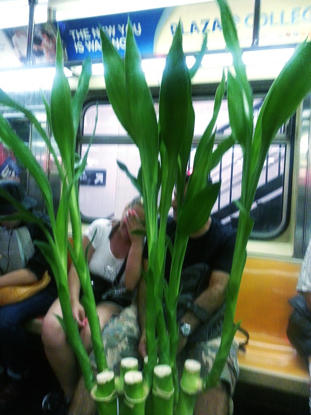 20130719_213600_conew1.jpg