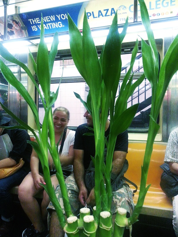 20130719_213601_conew1.jpg