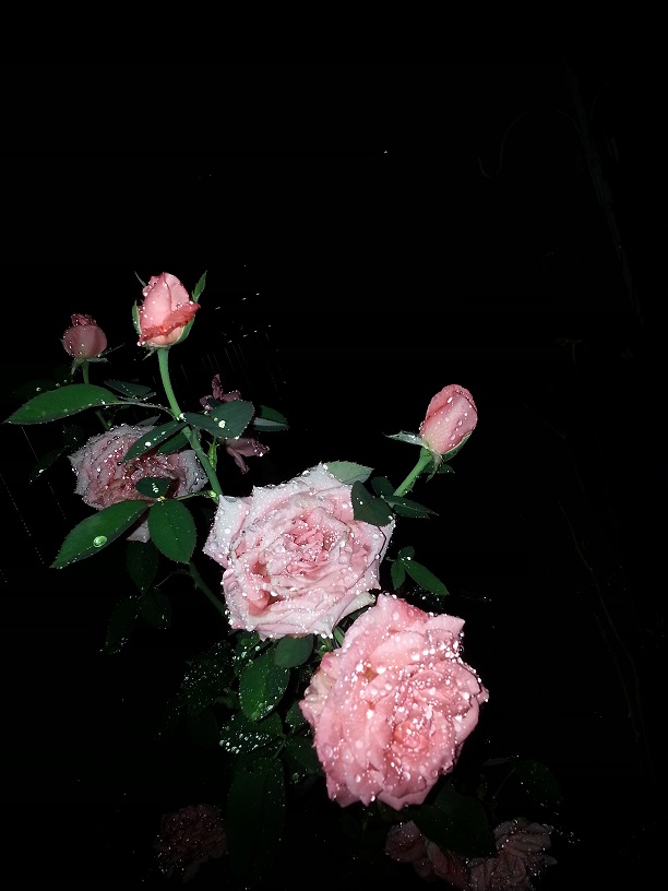 20130712_224109.jpg