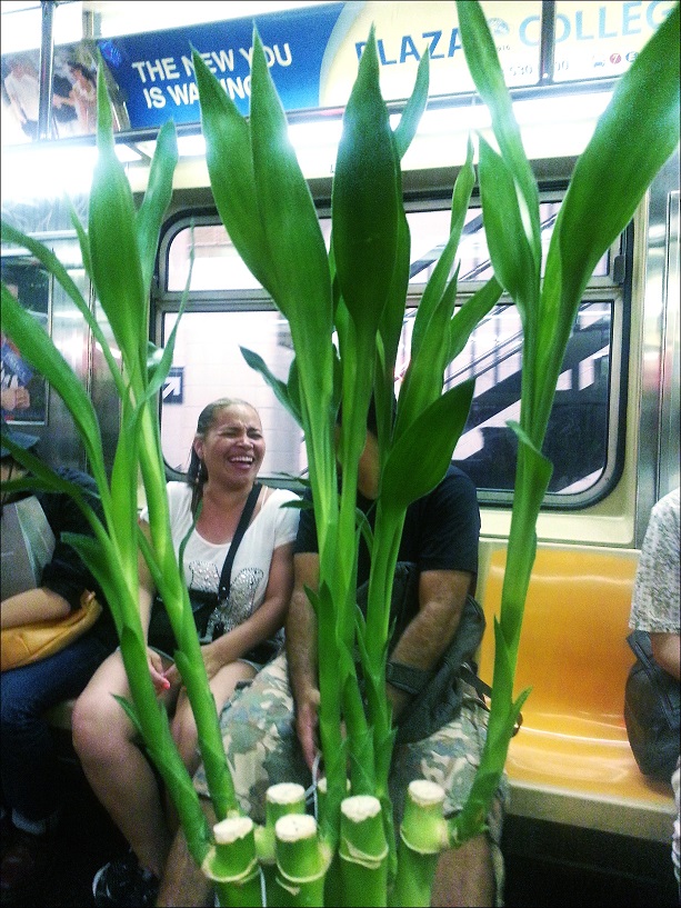 20130719_213558_conew1.jpg