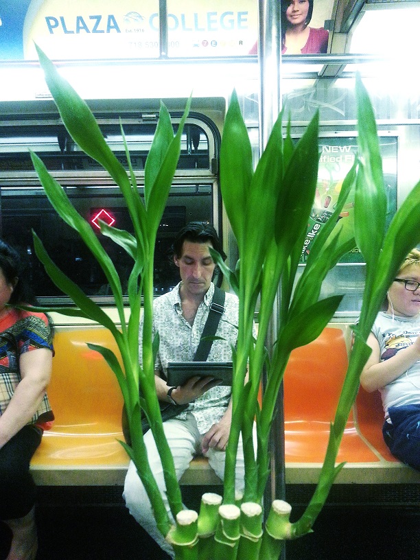 20130719_214029_conew1.jpg