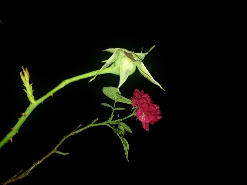 20130718_223030.jpg