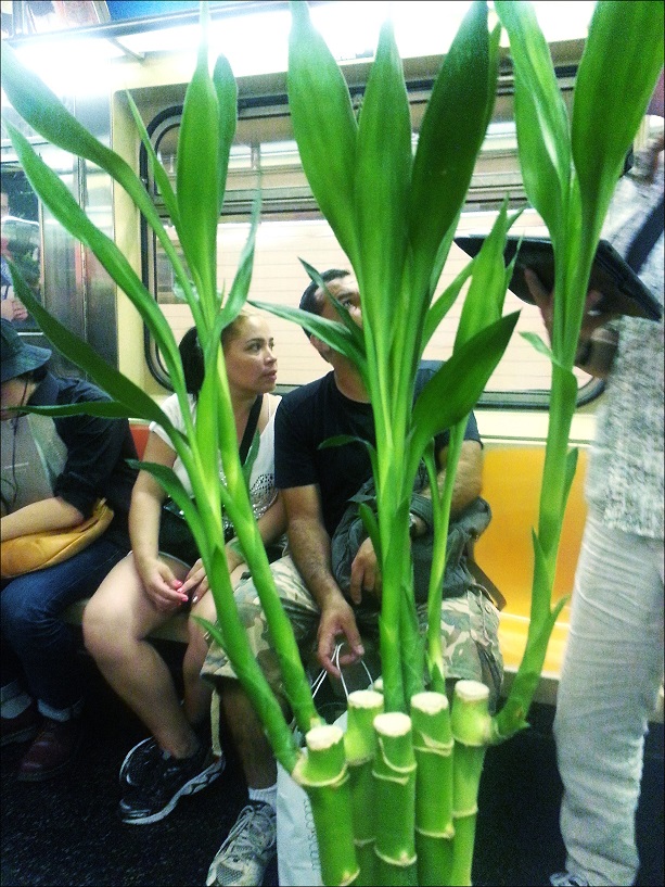 20130719_213423_conew1.jpg