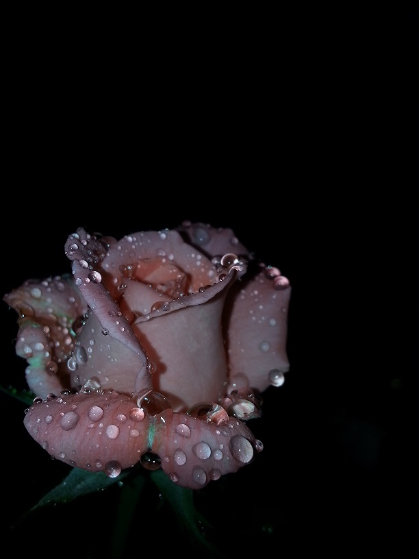 20130712_213441.jpg