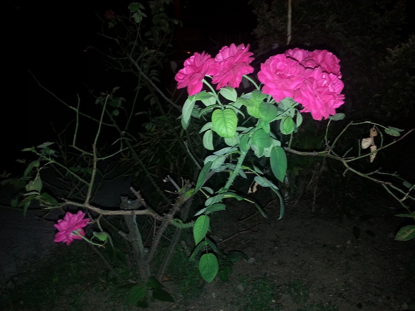 20130718_223305.jpg