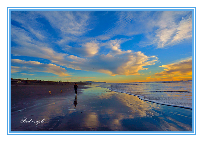 DSC_0726_����.png