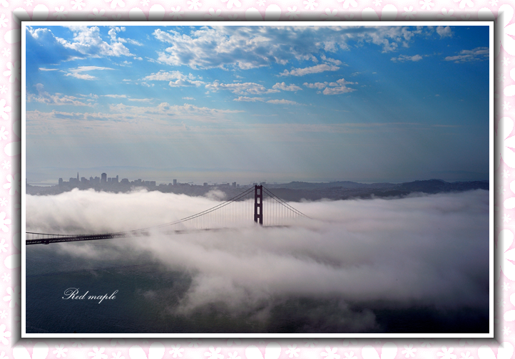 DSC_2269_����.png