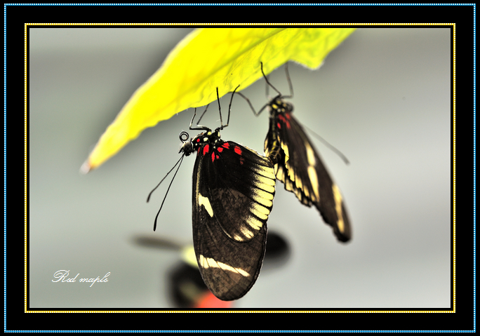 2_46084_b28ede5b12a048d.jpg