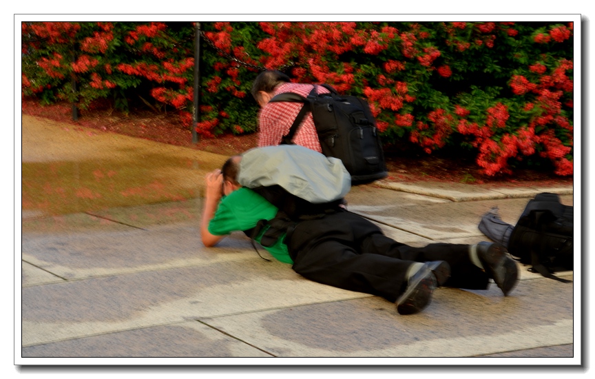 2013-2-2 Flowers 162_.jpg