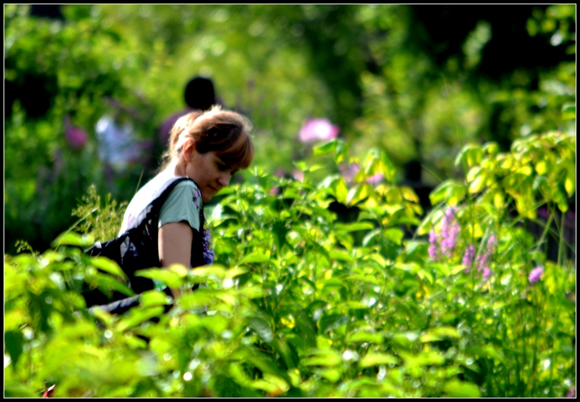 2013-2-2 Flowers 560_.jpg