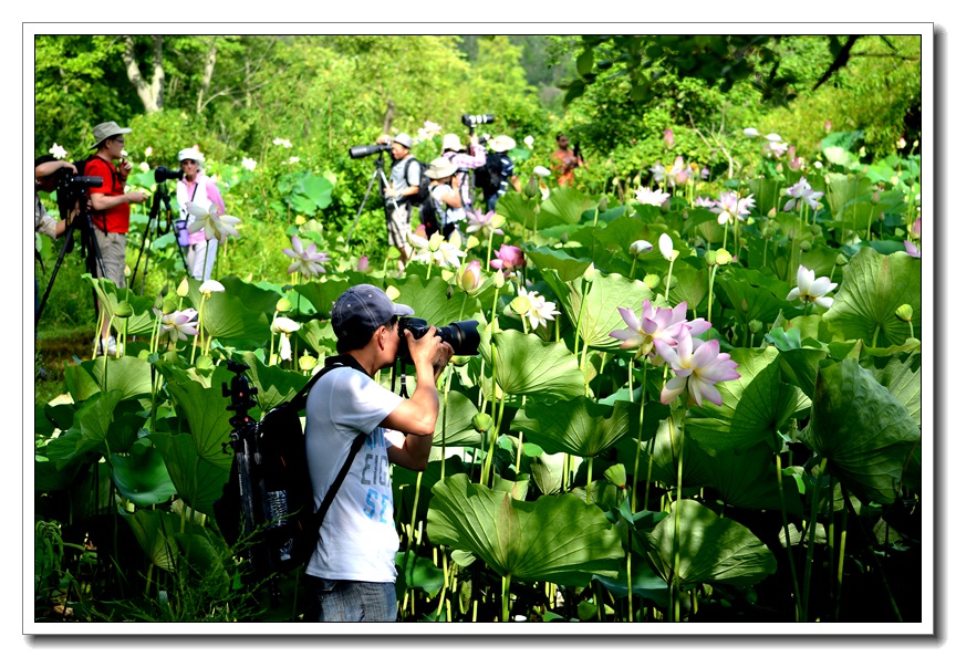 2013-2-2 Flowers 602_.jpg