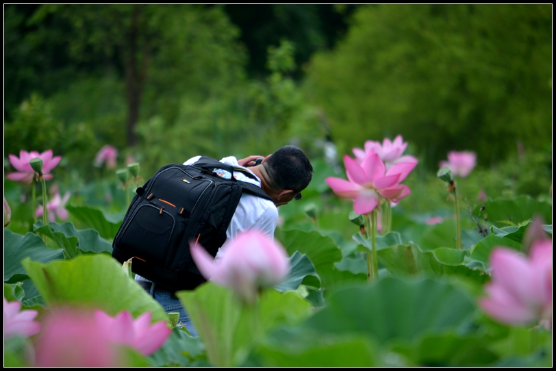 2013-2-2 Flowers 461_.jpg
