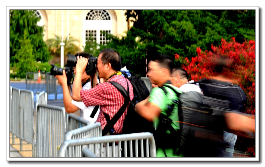 2013-2-2 Flowers 139_.jpg