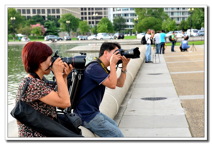 2013-2-2 Flowers 068_.jpg